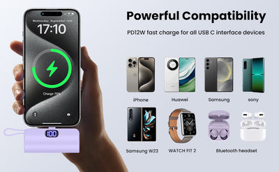 PowerGo 2-in-1 Portable Power Bank (5000mAh)